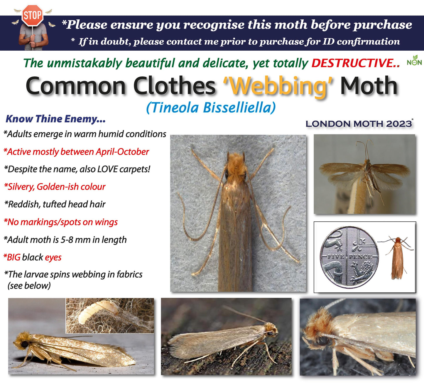 LONDON MOTH KILLER 10 (TEN) Premium Sticky Pheromone Moth Traps for the Common Clothes Moth and Similar Variants, for Wardrobes, Clothes and Carpets. inc. eBook