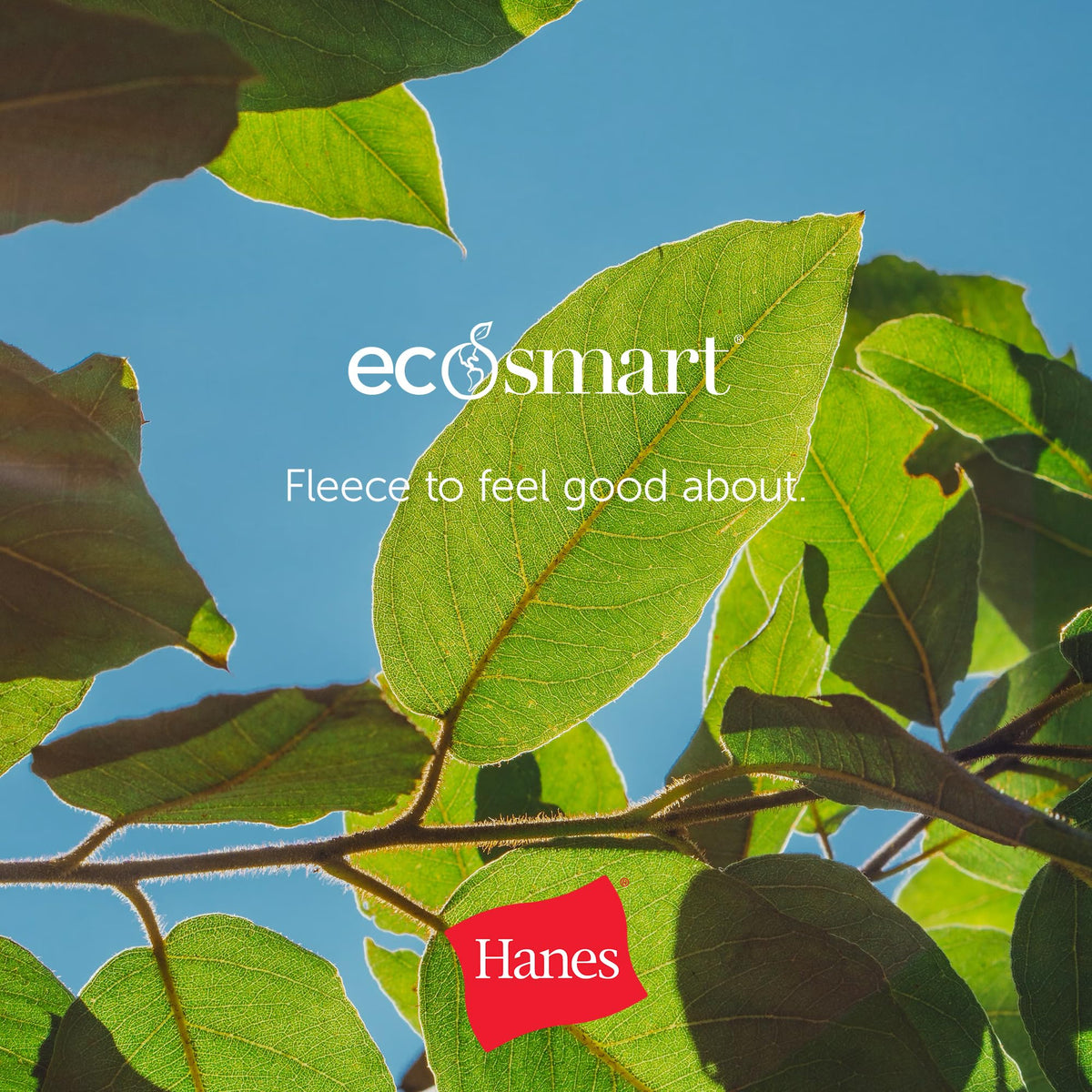 Hanes Women's EcoSmart Full-Zip Hoodie Sweatshirt, Ebony, Medium