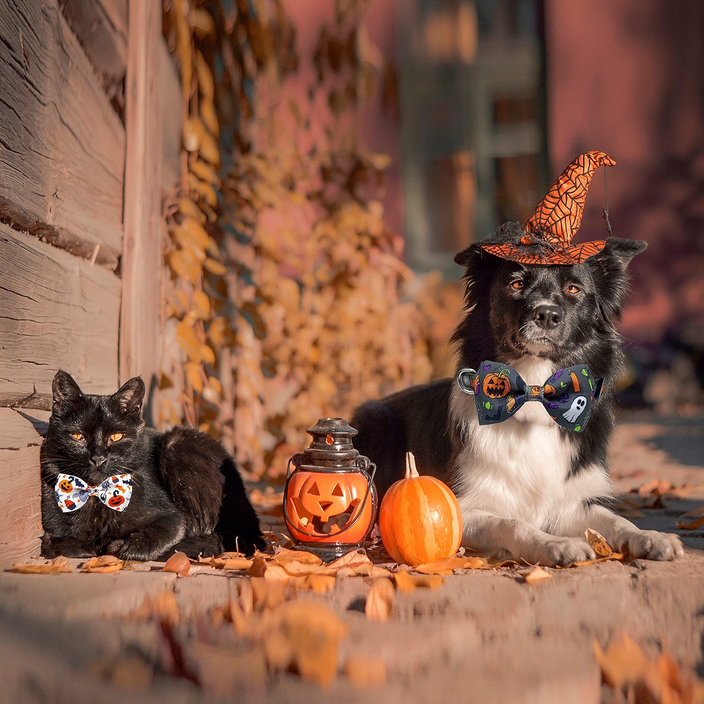 2 Pack Halloween Dog Collar with Bowtie, Holiday Jack-O-Lantern and Pumpkin Collar for Small Medium Large Dogs Pets Puppies (Large)