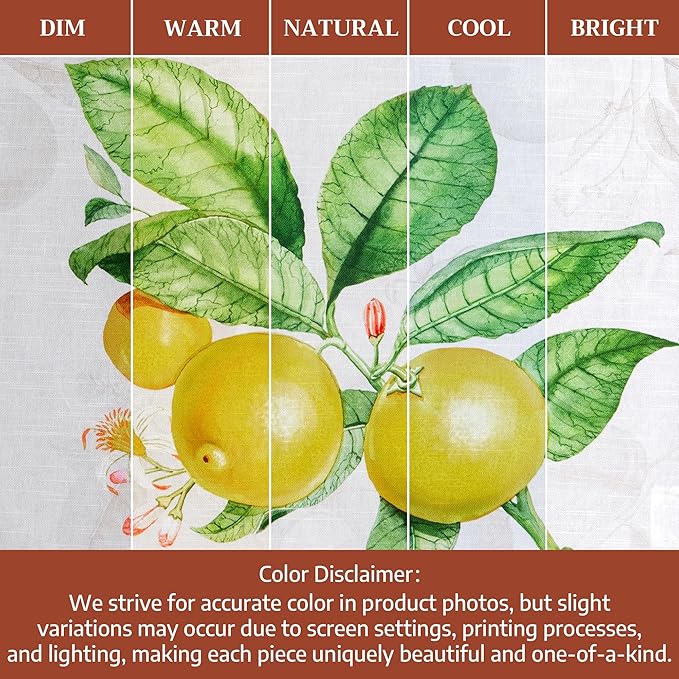 Maison d' Hermine Kitchen Towels Set of 3 100% Cotton 27.50" x 20" Reusable