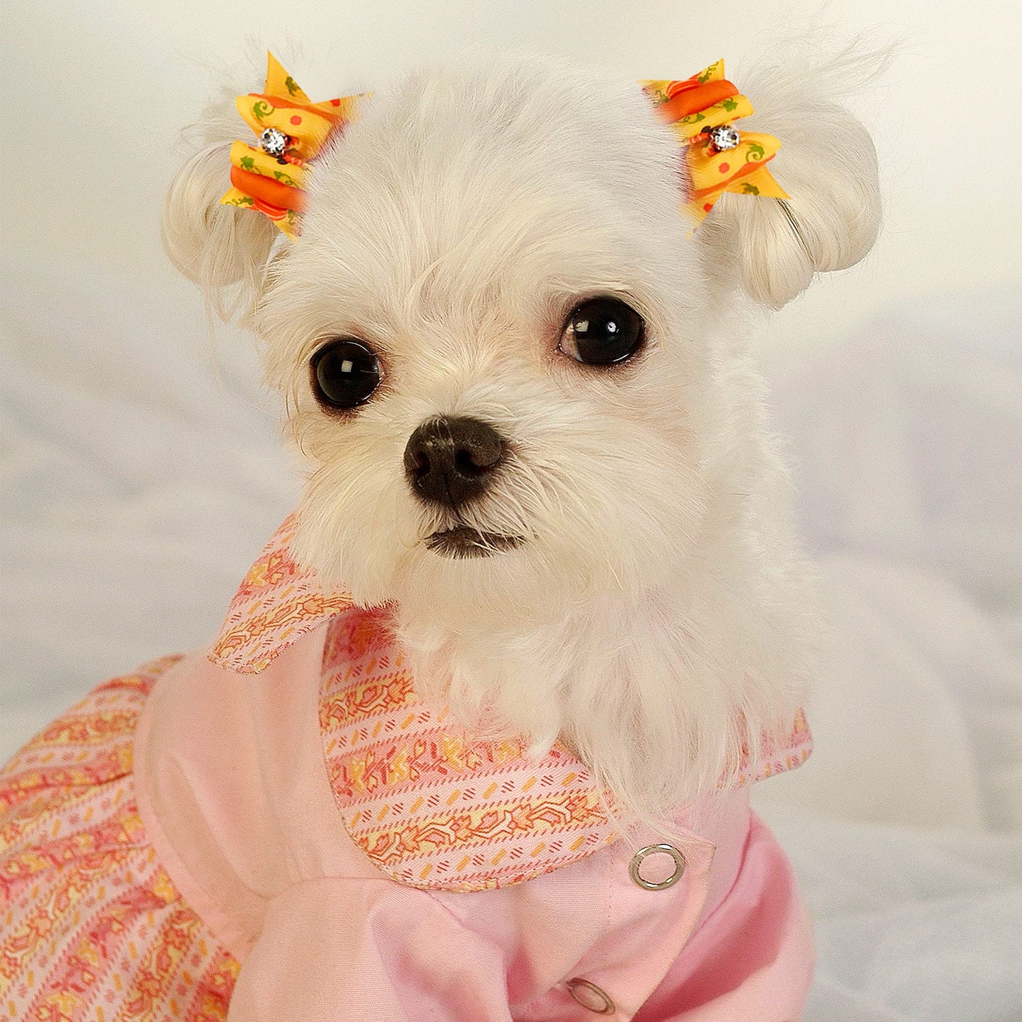 PET SHOW 50pcs Halloween Small Dog Hair Bows with Rubber Bands for Medium Dogs Holiday Bulk Puppies Cats Kittens Rabbits Topknot Grooming Costumes Hair Accessories
