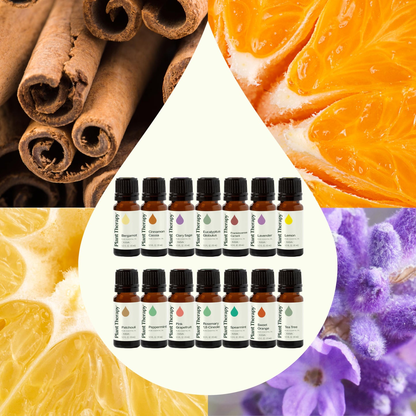 Plant Therapy Top 14 Singles Set Lavender, Eucalyptus, Peppermint, Orange Sweet, Lemon & More 100% Pure, Undiluted, Natural Aromatherapy for Topical Use & Diffusion, Therapeutic Grade 10 mL (1/3 oz)
