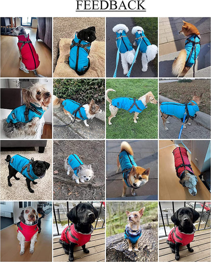Warm Pet Dog Coats and Jackets,Waterproof Reflective Pet Dog Harness Vest Winter Puppy Clothes with Chest Strap, Outdoor Walking Adjustable Chest Strap-Blue-M