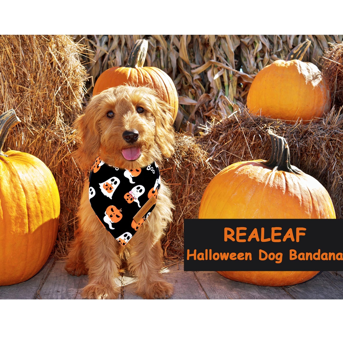 Realeaf Halloween Dog Bandanas 2 Pack, Reversible Orange Pumpkin Pet Scarf for Boy and Girl, Premium Durable Fabric, Holiday Bandana for Small Medium Large and Extra Large Dogs (Small)