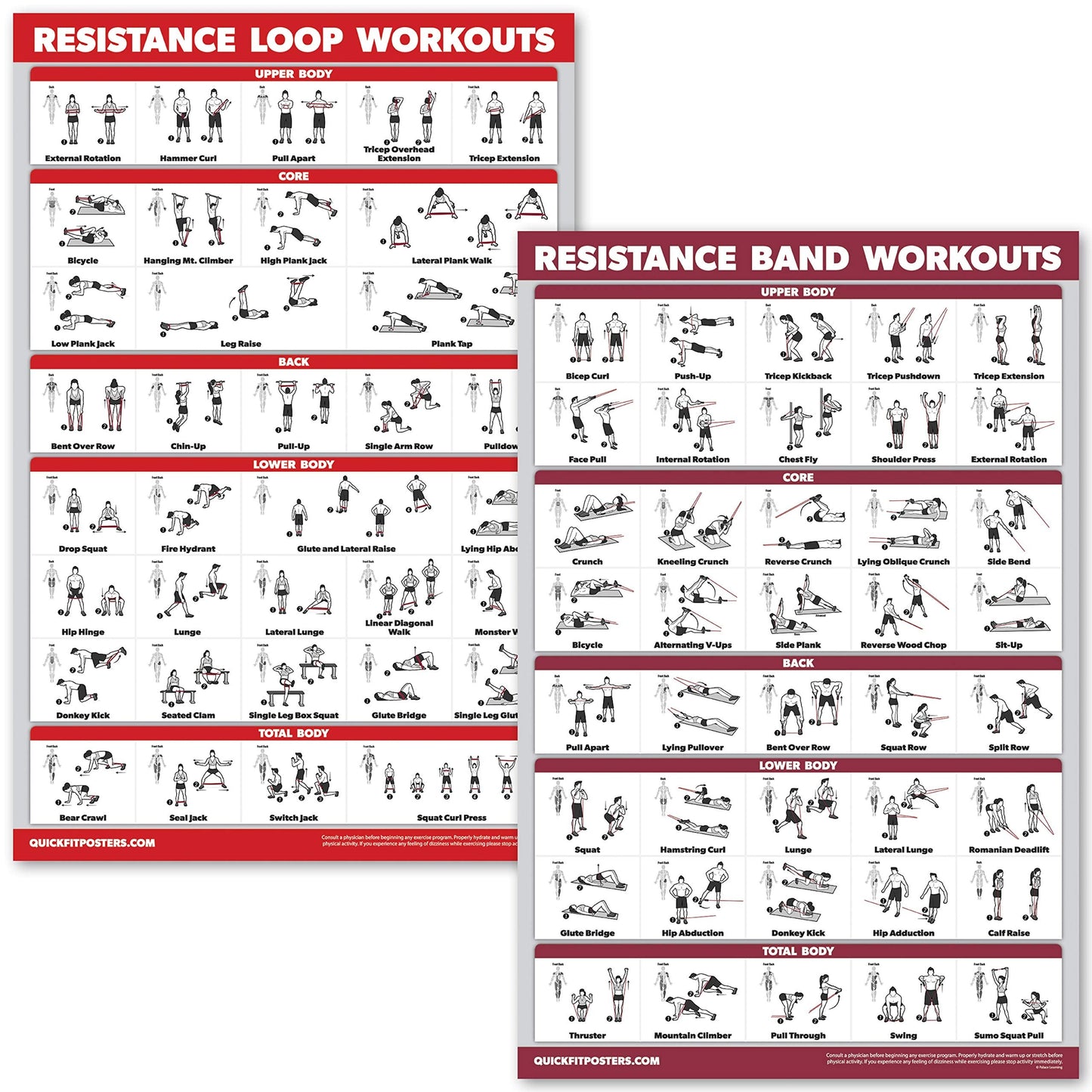 QUICKFIT 2 Pack - Resistance Bands and Loops Workout Posters - Set of 2 Laminated Charts - Band Tubes and Loops Exercise Charts (Laminated, 18" x 24")