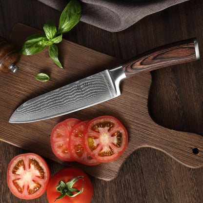 Wakoli EDIB Damascus Santoku Knife – 6.7-Inch Japanese-Style Kitchen Knife, 67-Layer Damascus Steel Blade with VG10 Core, Ergonomic Pakkawood Handle – Professional Cooking Knife in Elegant Gift Box