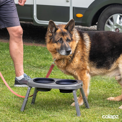 Colapz Collapsible Dog Bowls with Adjustable Stand – Foldable Elevated Food & Water Bowls for Dogs & Cats – Travel, Camping & Car – Silicone Pet Bowls with Carry Bag, Grey
