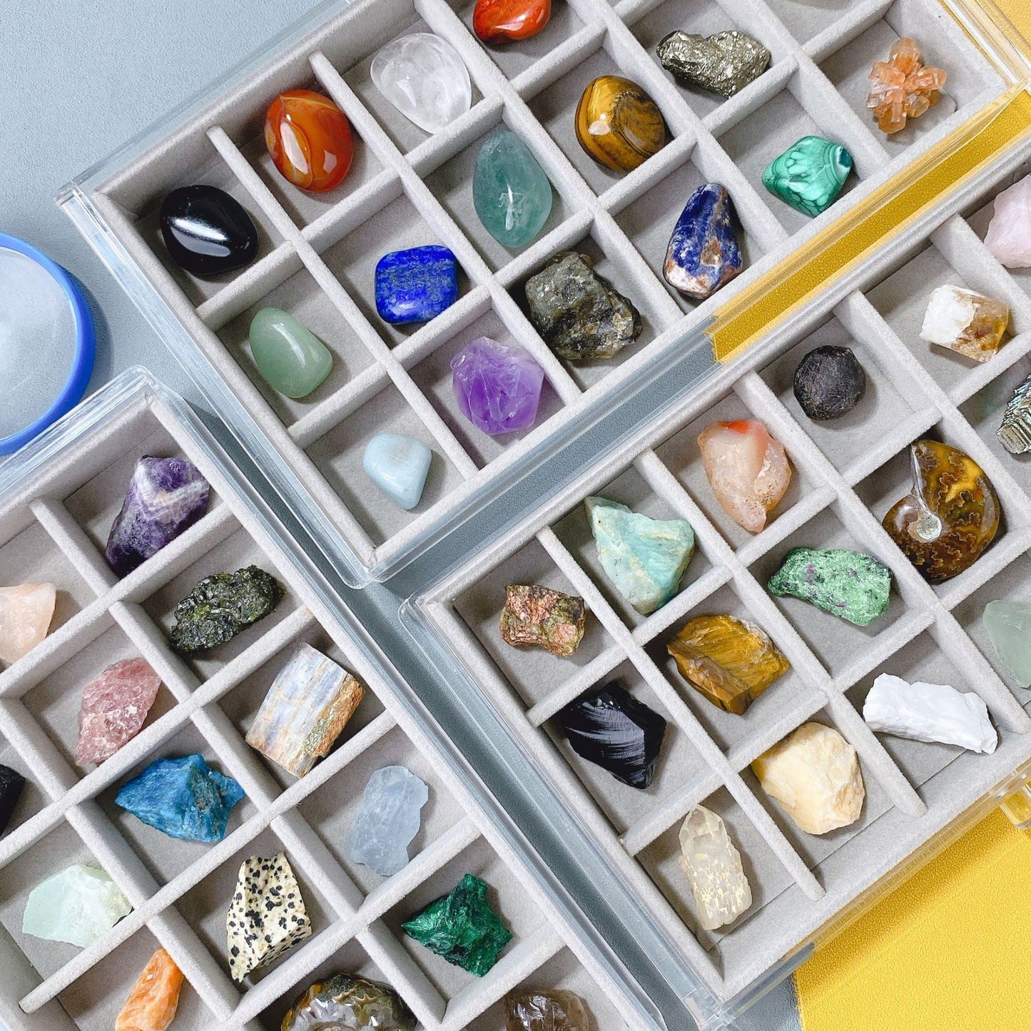 Acrylic Rock Collection Display Case Rock Collection Box for Kids Display Cases for Collectibles Crystal Display Case Holder Shadow Boxes Display Cases Display Cabinet Fossil Display Box