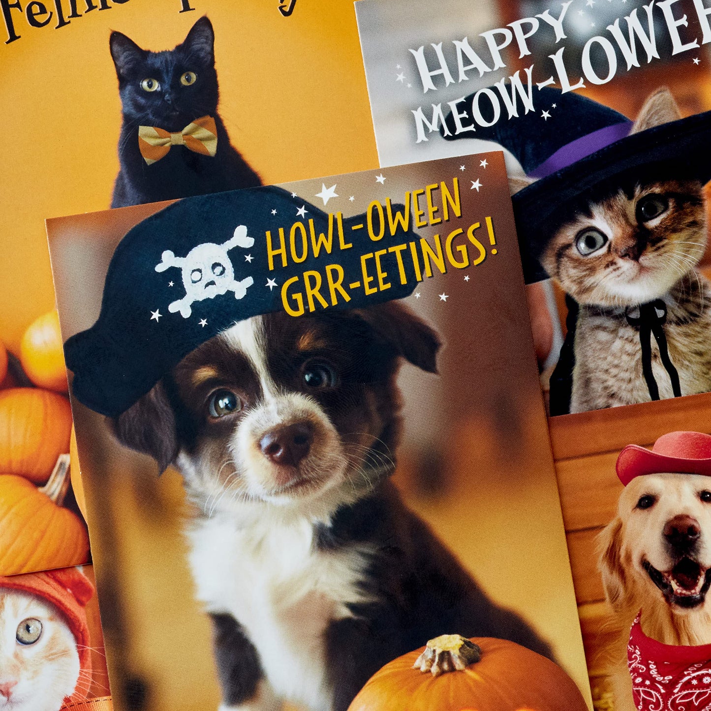 Hallmark Halloween Cards Assortment, Pet Puns (48 Cards with Envelopes)
