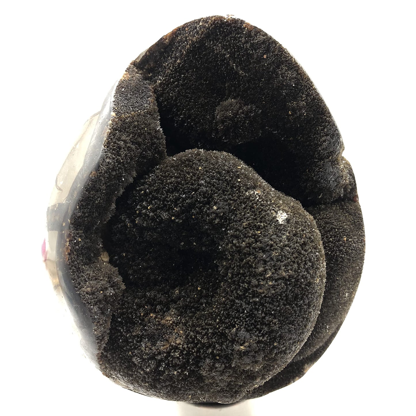 DHRWGEM Natural Dragon Septarian Geode Egg Quartz Crystal Egg Crystal Geode Reiki Healing Home Decor DMDRA1 (0.22lb to 0.66lb)