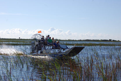 Wonderbox - Original Gift Idea - Experience Gift - Bucket List Experiences - 1 Activity to Choose from a Selection: Ferrari Driving, Dolphin Watching, Speedboat, Airboat for Gators Watching...