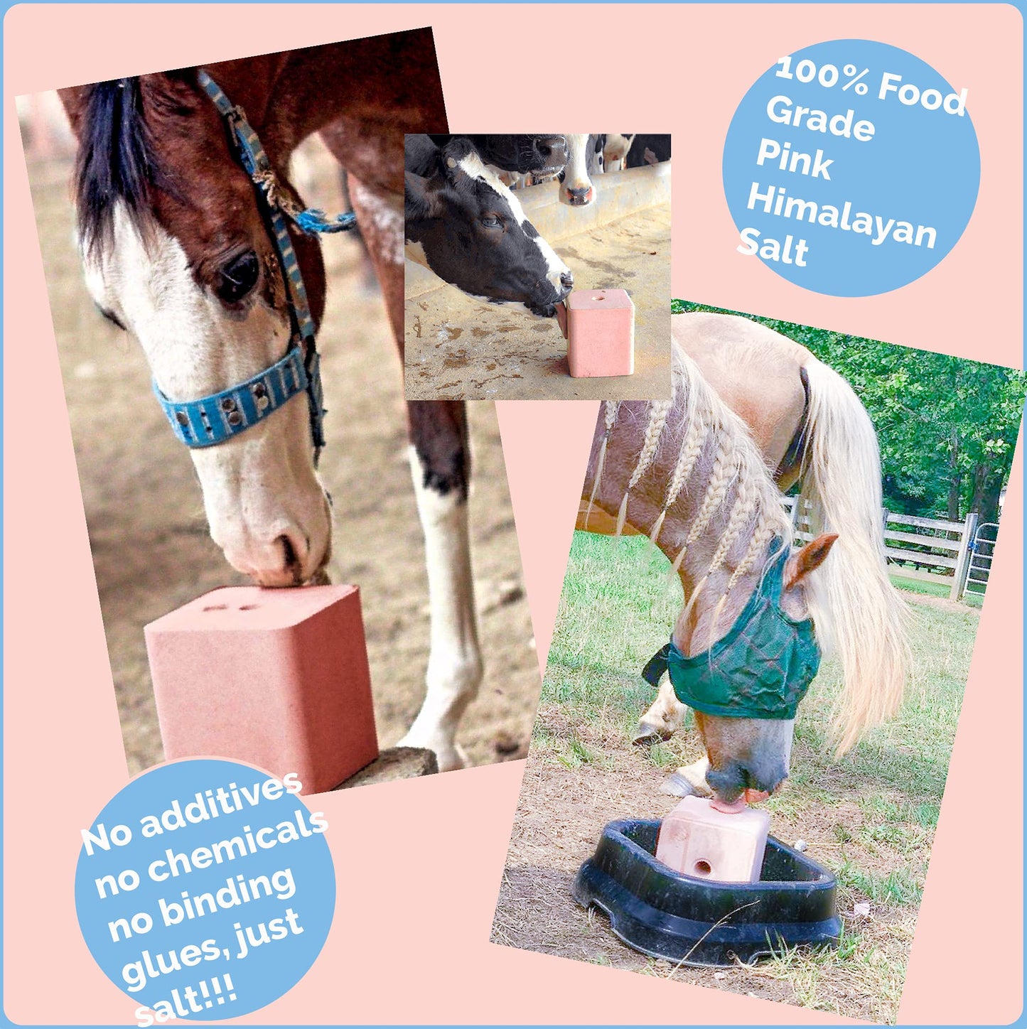 Salt Block for Deer & Horses – Compressed Mineral Salt Lick for Livestock, Cattle & Goats – Himalayan Secrets Pink Rock Salt Block (22LB/10KG, Block w/ Mounting Hole)