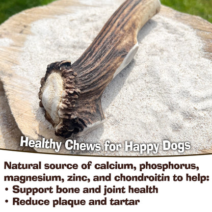 Antler Chew – Large Antler Dog Chew (130–180g, From 13cm) | Naturally Shed & Sanded | Long-Lasting, Odourless Chew for Moderate Chewers | Supports Dental Health