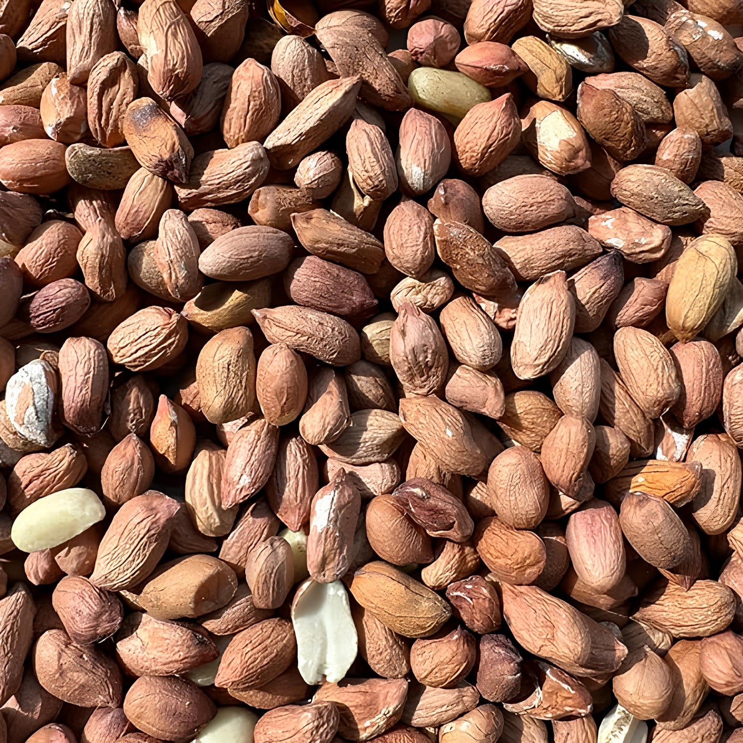 Leagrams Standard Peanuts for Wild Birds (10kg)