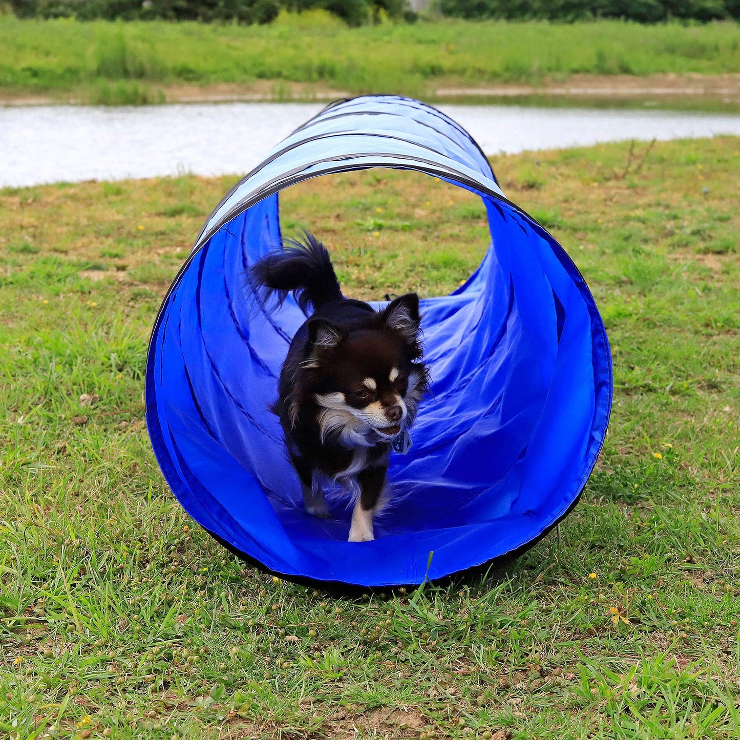 lionto Outdoor Tunnel Robust for Large and Small Dogs, 200 x 40 cm, Foldable Play Tunnel for Children with Pegs Made of Tear-Resistant Material, Stable Agility Tunnel with Practical Carry Bag, Blue