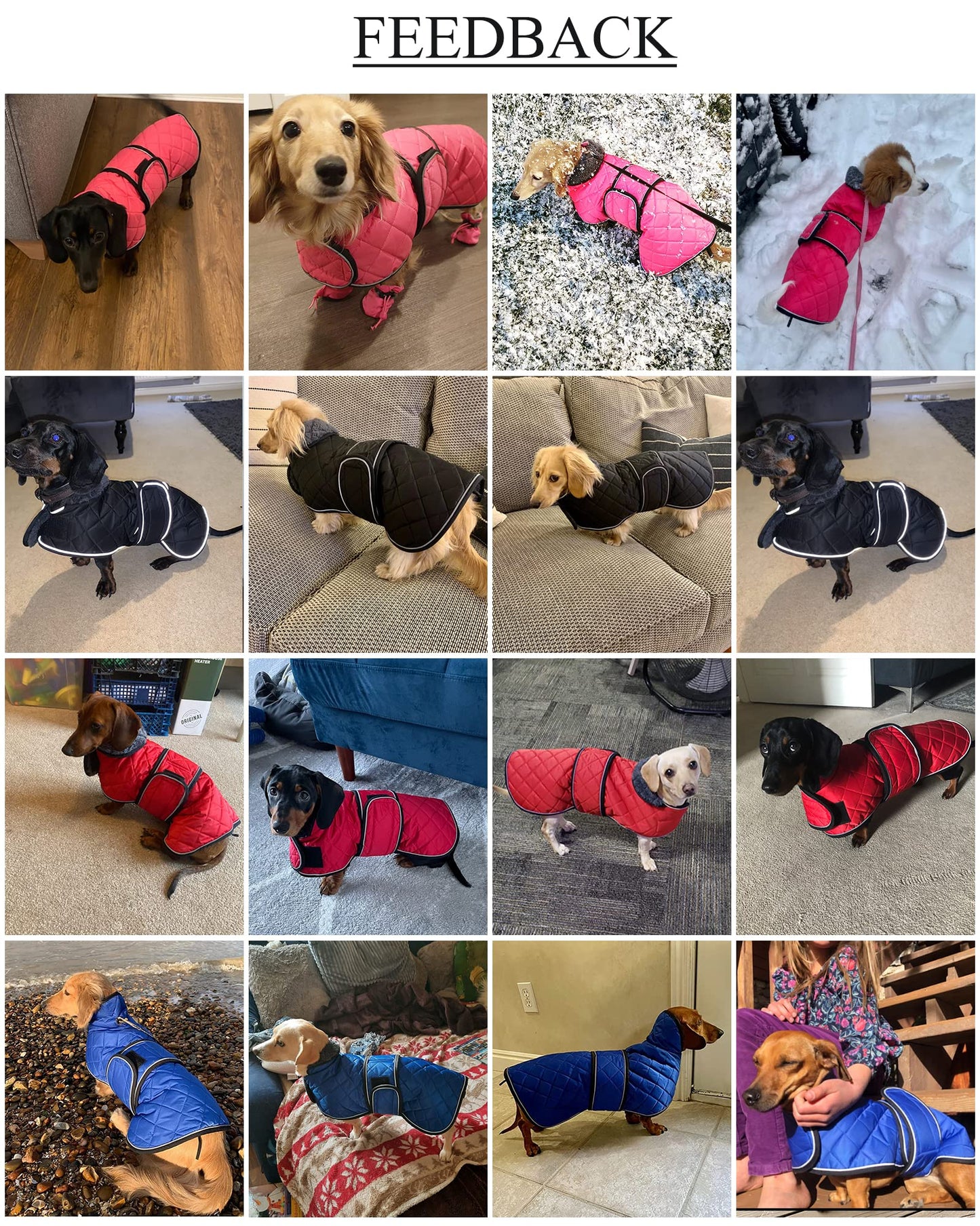 Warm Thermal Quilted Dachshund Coat, Dog Winter Coat with Warm Fleece Lining, Outdoor Dog Apparel with Adjustable Bands-Black-S
