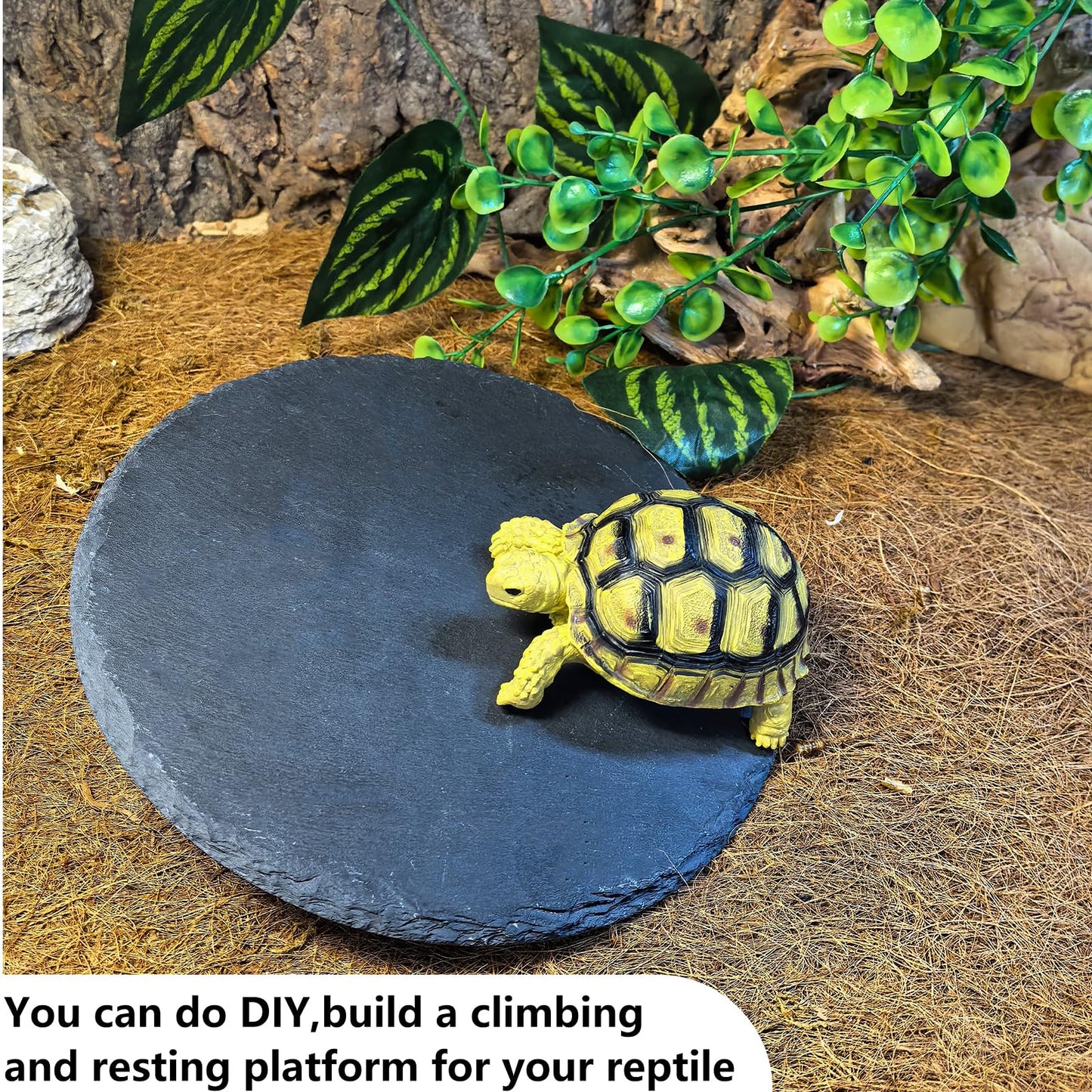 Tfwadmx Reptile Basking Platform,7.8IN Tortoise Rock Slate Plate Feeding Food Bowl Dish Turtle Bathing Resting Terrace for Lizard Bearded Dragon Chameleon Gecko Snake Frog Newt