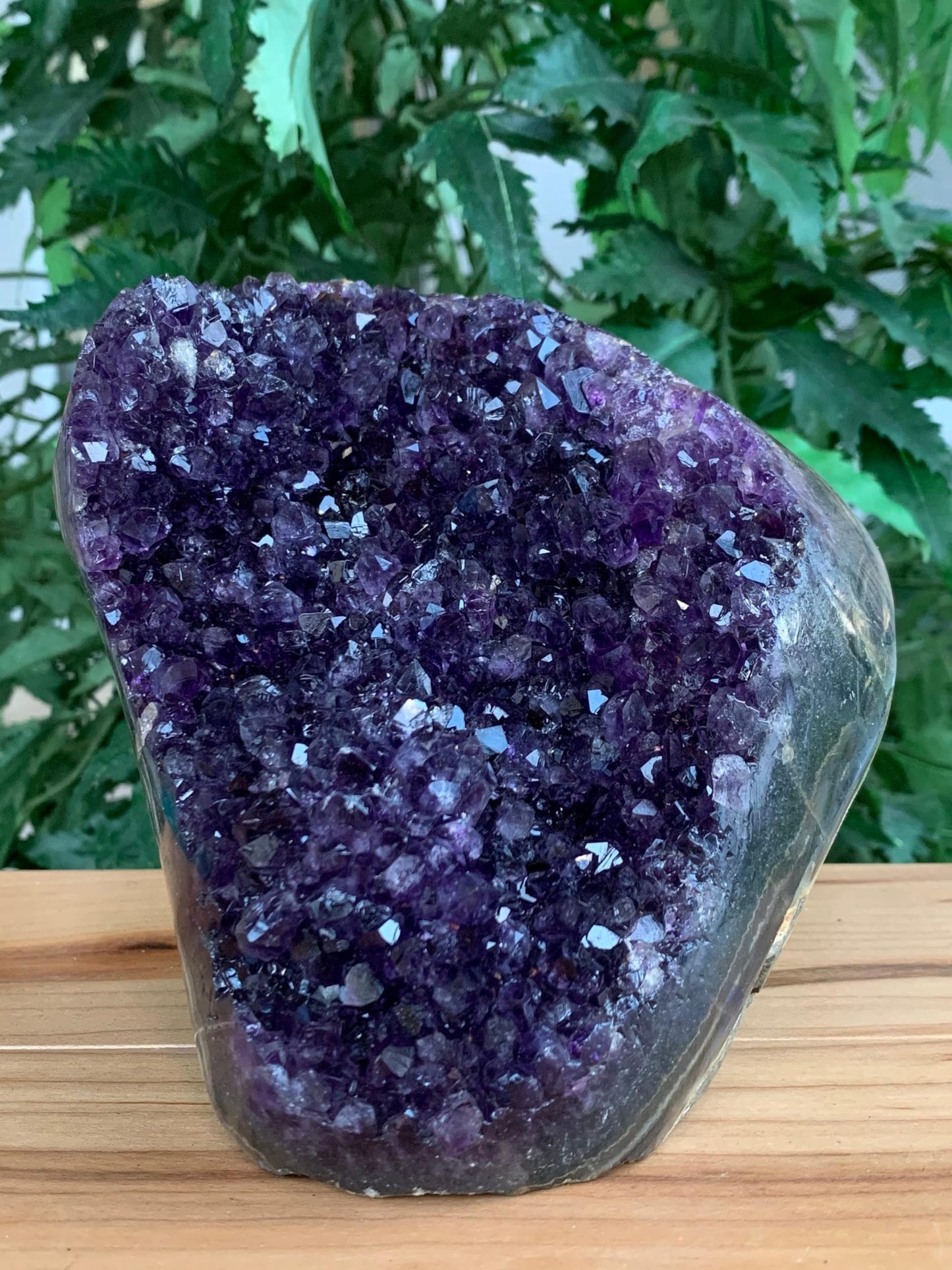 GAF TREASURES Finely Polished Uruguayan Deep Purple Amethyst Cluster with Cut Base, Standing Amethyst Geode, Raw Amethyst, Amethyst Cathedral, Amethyst Druze (0.5-1 lb)