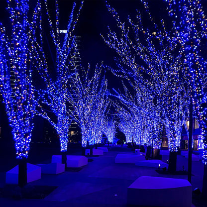 Selarlyt 2-Pack 200 LED Solar Fairy Lights Outdoor, Upgraded Oversize Lamp Beads & Super Bright Solar String Lights Outoor, 8 Modes Solar Lights for Garden Patio Decorations（Blue&White）