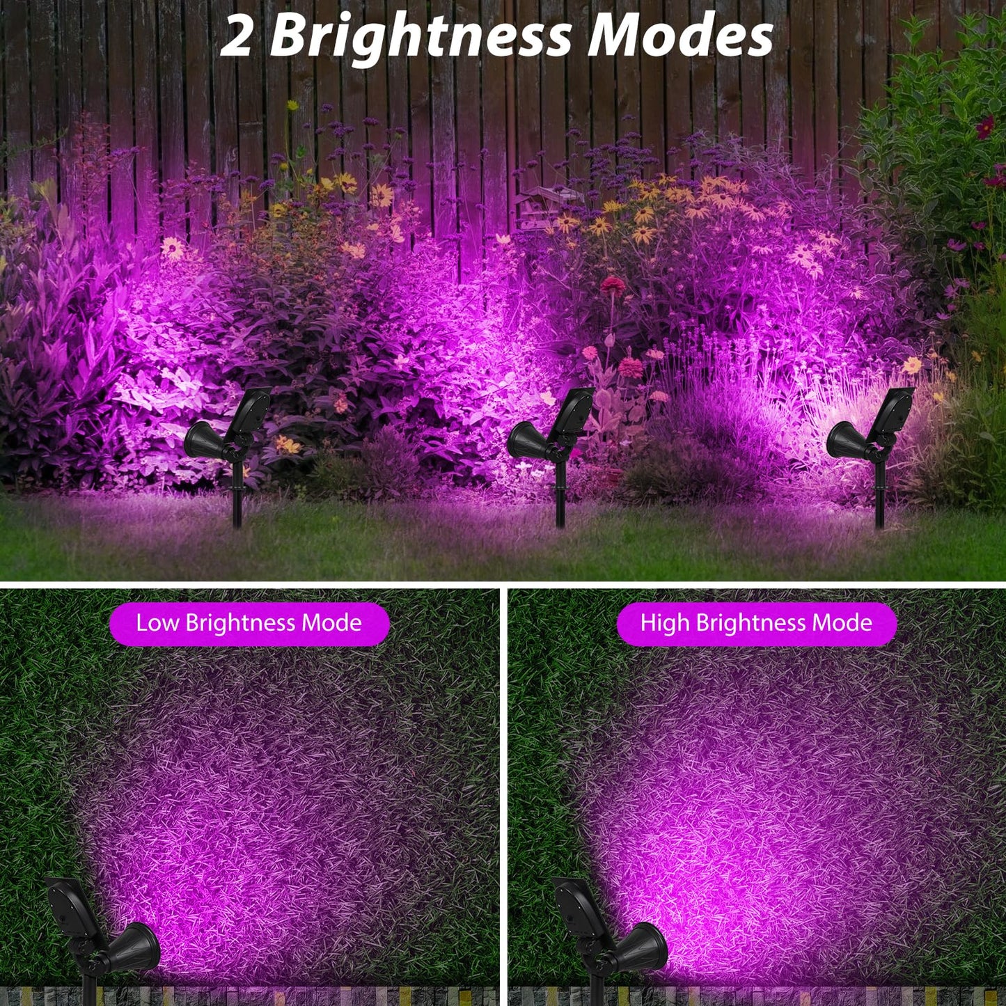 T-SUN [2 Pack] LED Solar Spotlights, Waterproof Outdoor Security Landscape Lamps, Auto-on/Auto-Off by Day, 180 Angle Adjustable for Tree, Patio, Yard, Garden, Driveway, Stairs, Pool Area(Purple)