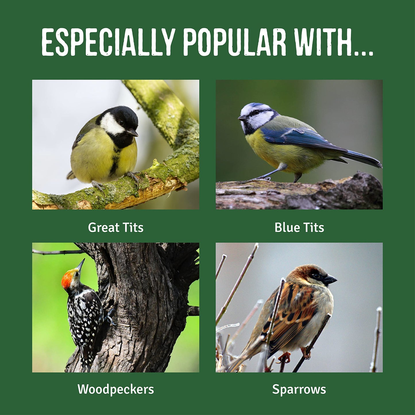 Fat Balls for Wild Birds (50) - High Energy Suet Feed, Nutritious, Great for Hanging Feeders, Attracts Birds to Garden All Year Round - Honeyfield's, 4.25 kg (Pack of 1)