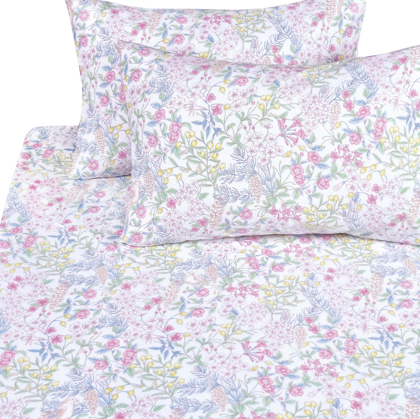 Scientific Sleep Vine Flower Plants Leaves Wild Fruit Bird Vintage Floral 100% Cotton Bed Sheet Set Kids Girls Teen, Flat Sheet & Fitted Sheet & Pillowcase Bedding Set (Botanic Garden, Full)