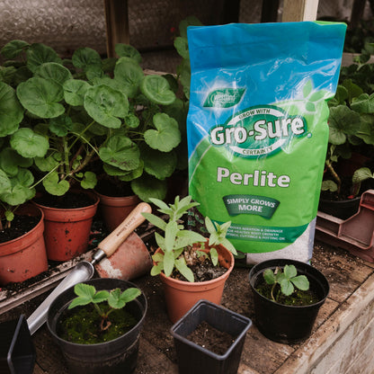 GRO-Sure 20100270 Perlite, 10 L