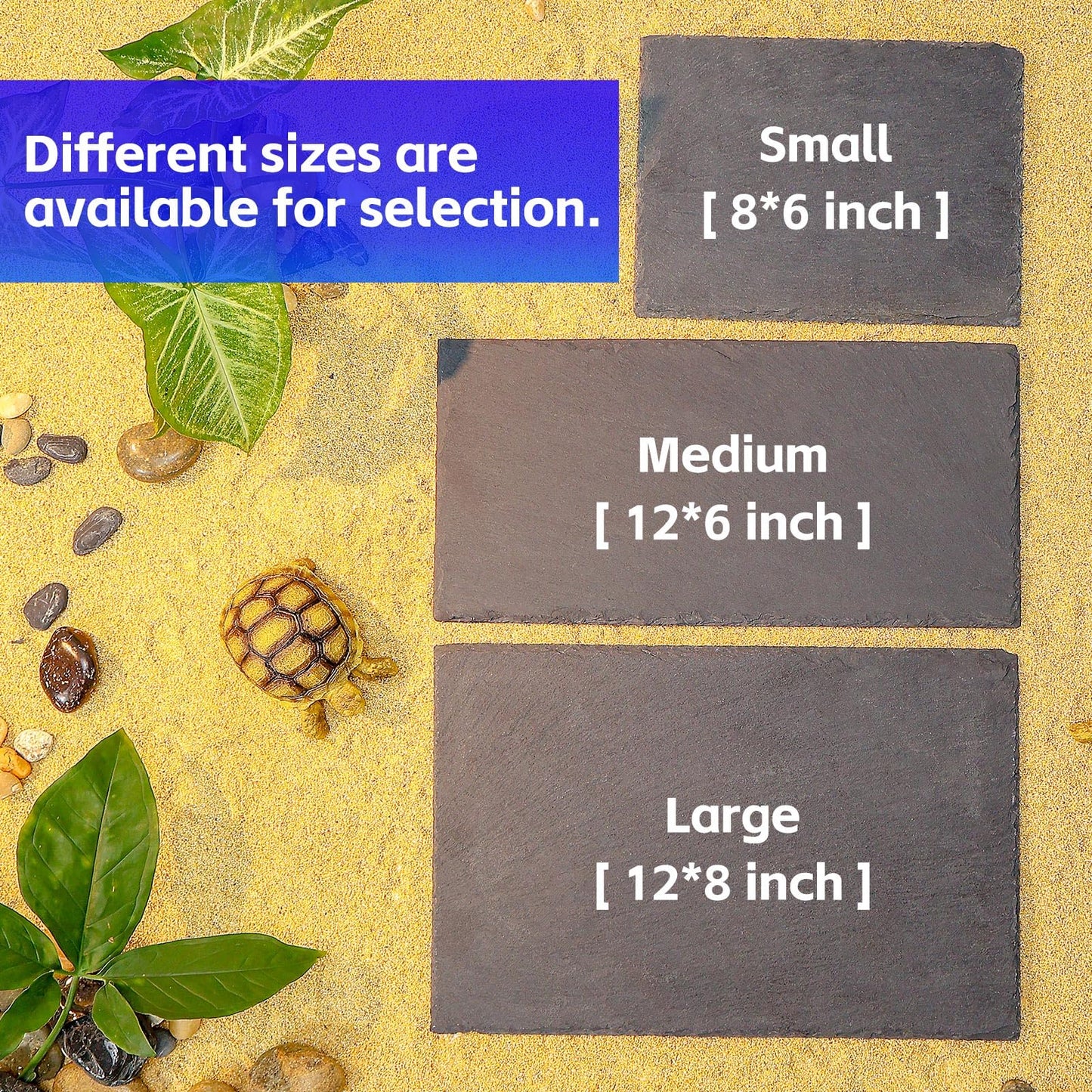 Natural Slate Basking Platform for Reptiles Bearded Dragon Tortoise Turtle Habitat Accessory Heat Retention, Anti-Slip Design, Feeding Tray Functionality, and Superior Water Absorption(12'' x 8'')