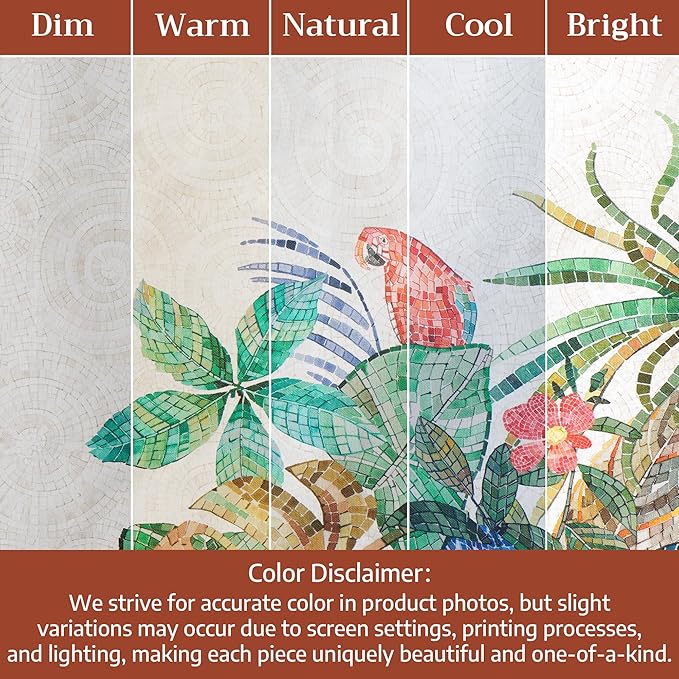 Maison d' Hermine Kitchen Towel 100% Combed Cotton Premium Set of 3 Soft