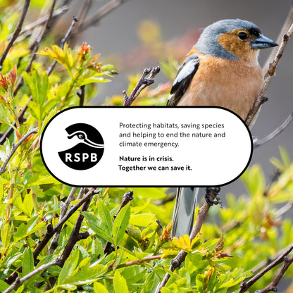 Coconut Bird Feeder Halves, Wild Bird Food for Small Birds with Suet, Dried Mealworms, Seeds, and Cereals, High Energy Food, Filled in the UK, Suitable for Year-Round Feeding - RSPB x 10 (320g)
