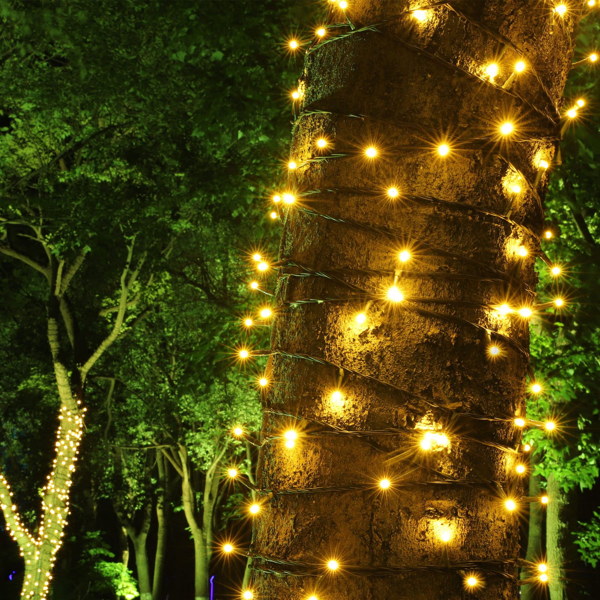 PMS 100-1000 LED Christmas Lights, Low Voltage Fairy String Lights with 8 Modes, Ideal for Xmax Tree, Garden, Home, Party, Halloween Festival Deco (Warm White, 500 LEDs)