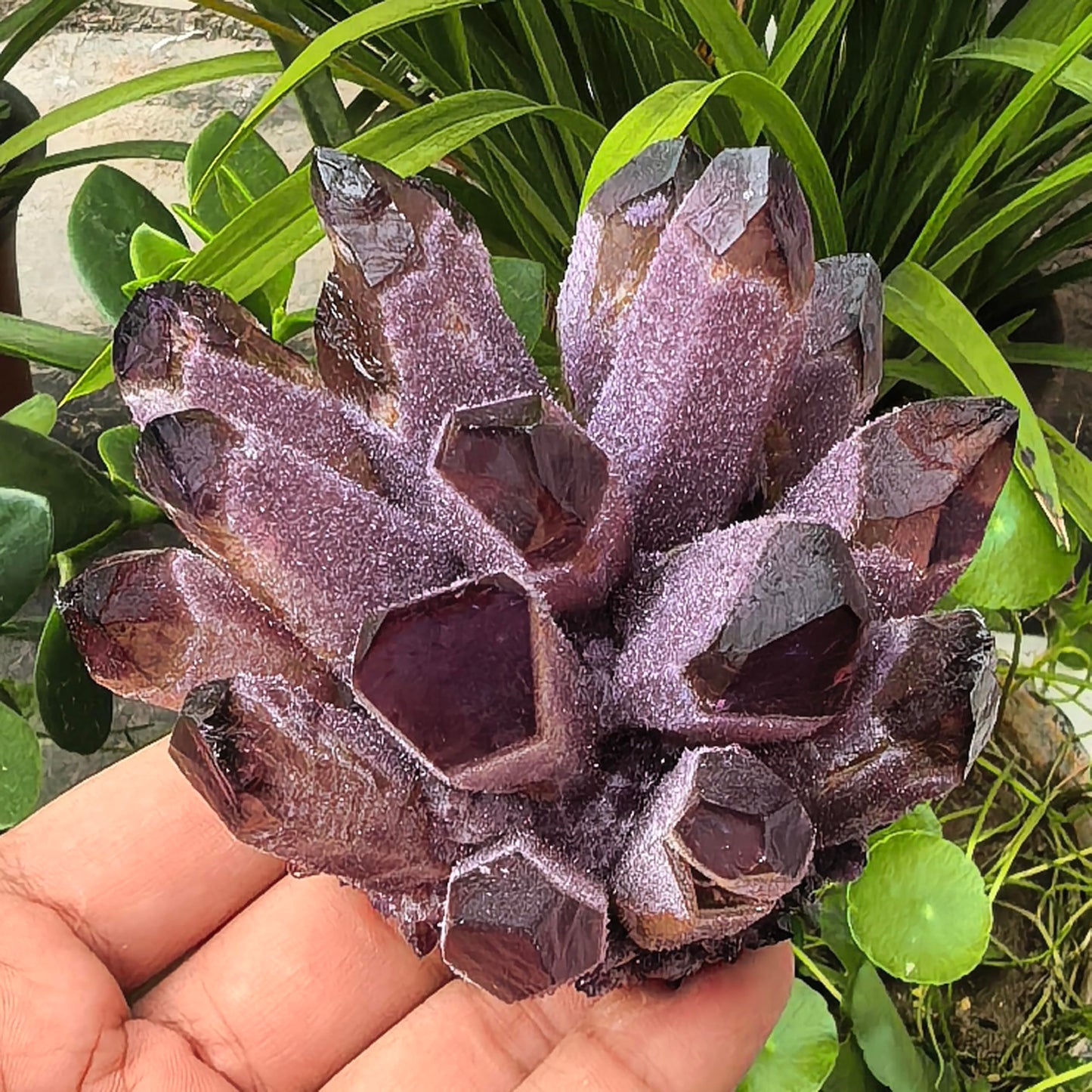 Crystal Cluster Electroplate Natural Quartz Mineral Specimen for Home Decor,Reiki Healing, February Birthstone Gift (Amethyst)