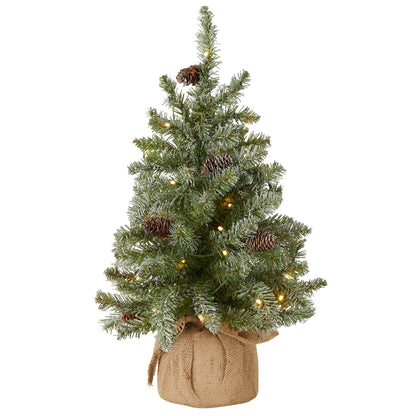 National Tree Company 2 ft Pre-Lit Flocked Mini Artificial Christmas Tree, 50 Clear LED Lights, 75 Tips, Pinecones, Burlap Base, Timer, Green
