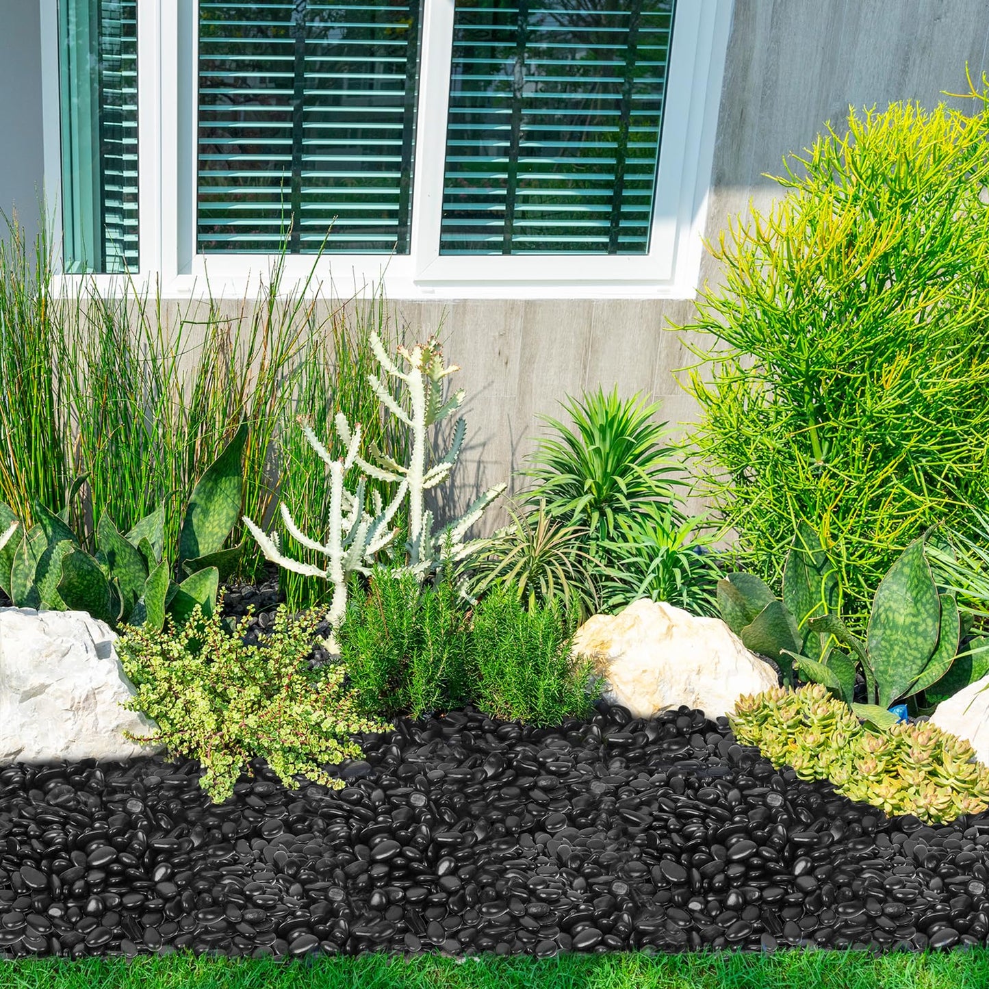 GASPRO 15 lb Black River Rocks for Landscaping, Polished Black Pebbles for Potted Plants & Vases, Large 1-2 Inch Decorative Stones for Garden Beds, Planters & Aquariums Decor