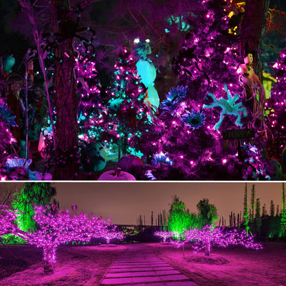 Twinkle Star Purple Halloween Lights, 33FT 150 LED Incandescent Mini String Lights for Outdoor Indoor Patio Home Party Garden Yard Halloween Decor