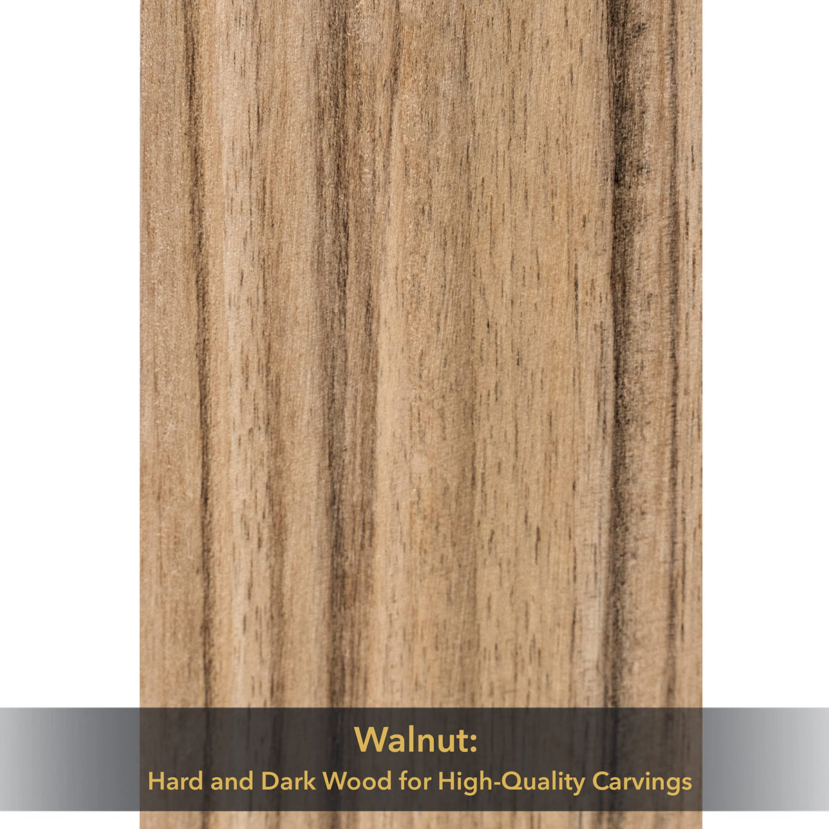 BeaverCraft Walnut Wood for Carving BW10 pcs Wooden Blocks for Whittling and Crafts - Wood Carving Blocks for Creative Projects