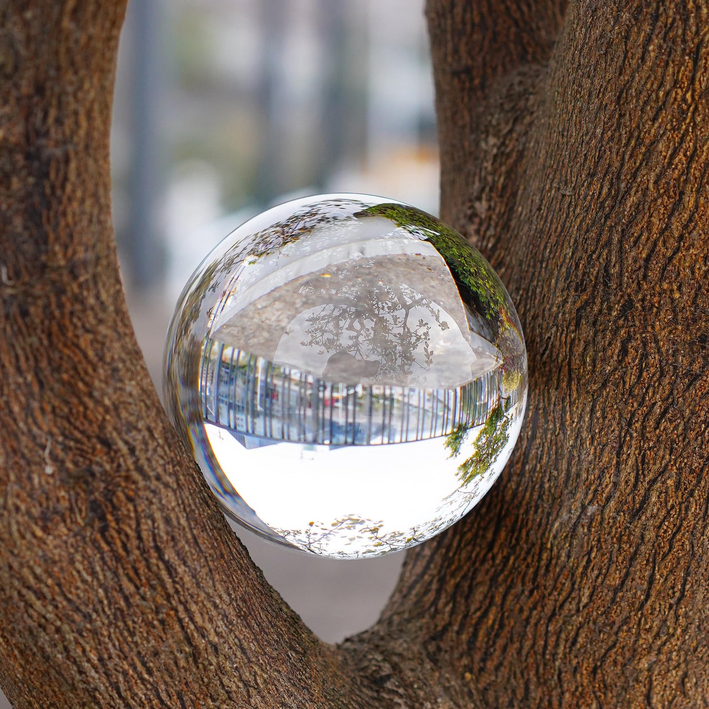 QFkris 80mm Clear Crystal Ball with Stand for Fortune Teller Divination Crystal Sphere for Magic, 3.1inch Decorative Ball for Lensball Photography, Feng Shui