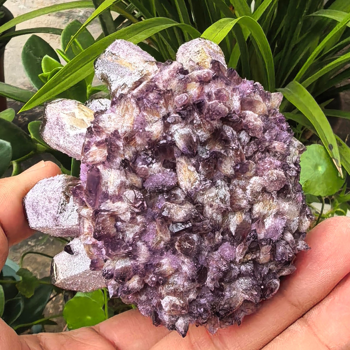 Crystal Cluster Electroplate Natural Quartz Mineral Specimen for Home Decor,Reiki Healing, February Birthstone Gift (Amethyst)