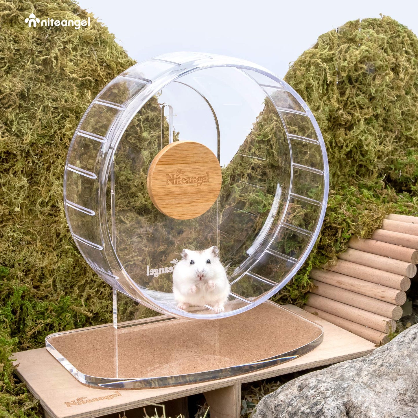 Niteangel Super Silent Hamster Exercise Wheels - Quiet Spinner Hamster Running Wheels with Adjustable Stand for Hedgehog Gerbils Mice Or Other Small Animals (Small, Transparent)