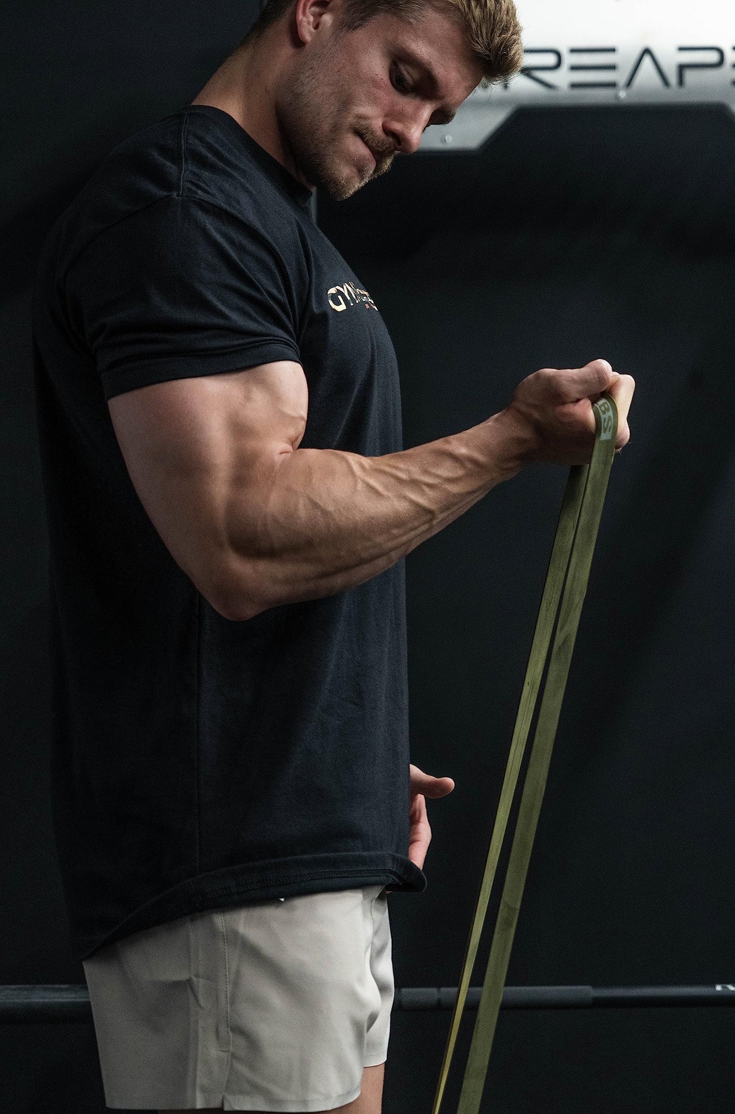 Gymreapers Resistance Bands for Working Out – Elastic Pull Up Exercise Assistance Bands Set for Powerlifting, Stretching, WOD, Strength Training – for Men & Women