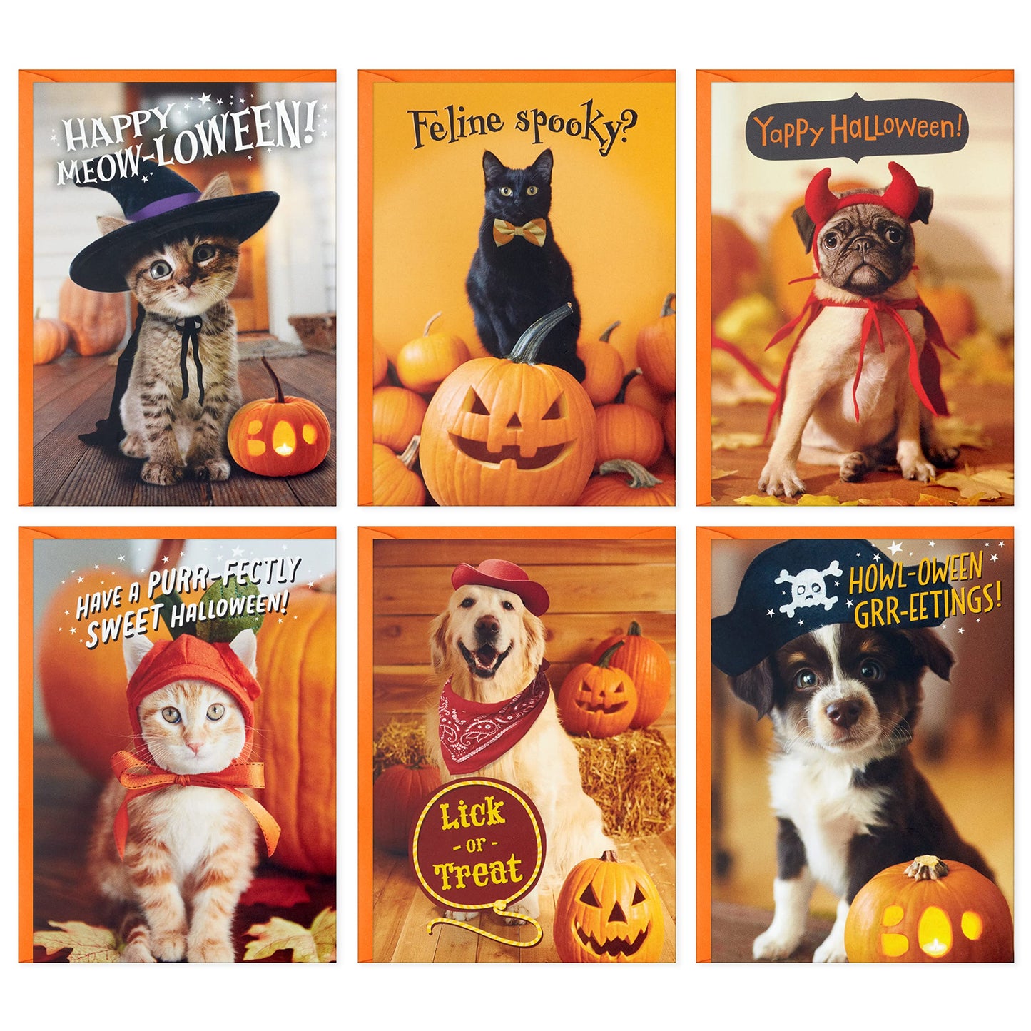 Hallmark Halloween Cards Assortment, Pet Puns (48 Cards with Envelopes)