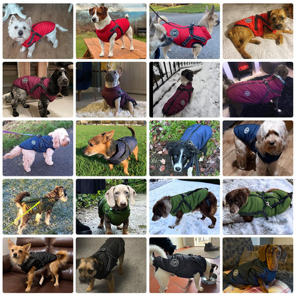 Poseca Dog Coat with Harness,Dog Coats Waterproof,Small Dog Harness Jacket,Puppy Winter Fleece Jackets,Winter Waterproof Coat with Reflective Harness and Zipper for Small Medium Large Dogs