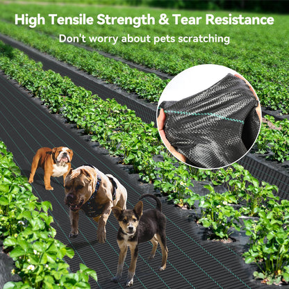 iropro 3m x 10m Heavy Duty Weed Control Membrane Garden Weed Barrier Fabric for Landscaping Driveway Gravel Artificial Grass Lawn Underlay Black Woven Roll Ground Cover