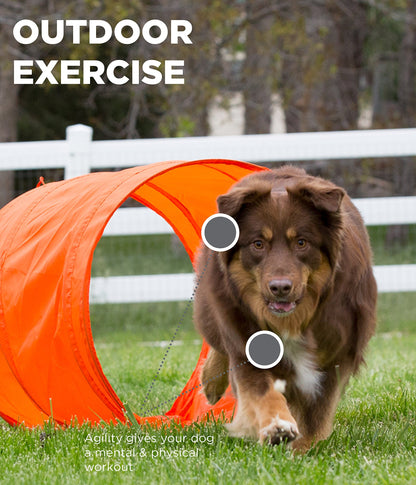 Outward Hound Kyjen 42003 Zip & Zoom Outdoor Agility Kit 3 Obstacle Dog Agility Kit with Dog Tunnel Weave Pole High Jump, Large, Multicolor