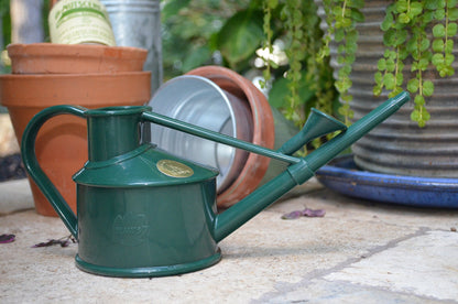 Indoor Plastic Watering Can | The HAWS Langley Sprinkler - One Pint | Pot Waterer | Fine Spray Rose | Green