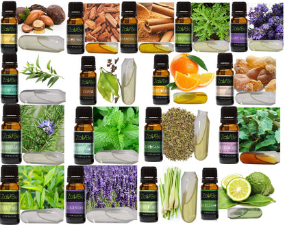 MABUA 18 Essential Oil Set with 20 Holes Case 100% Diffuser Lavender Lemon Peppermint TeaTree Argan Frankincense Bergamot Lemon
