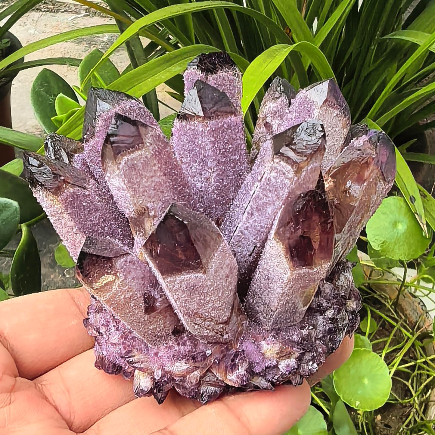 Crystal Cluster Electroplate Natural Quartz Mineral Specimen for Home Decor,Reiki Healing, February Birthstone Gift (Amethyst)