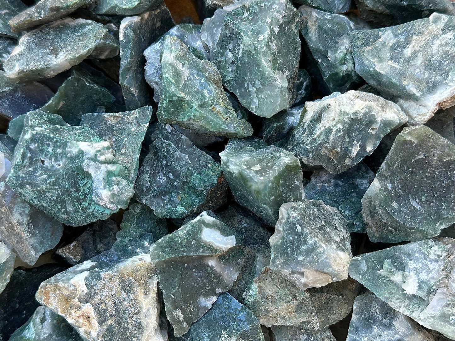 1 Pound Raw Tree Agate - Natural Tree Agate Stone, Natural Rough Tree Agate, Tree Agate Rough, Tree Agate Rocks (Tree Agate)