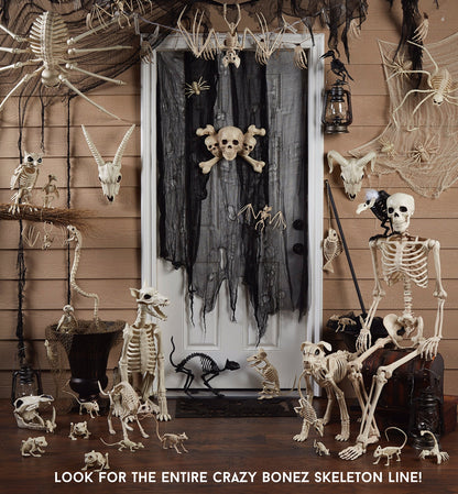 Crazy Bonez Light Up Skeleton Gargoyle