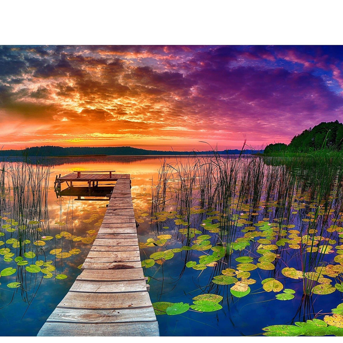 Puzzles for Adults 1000 Pieces – Ideal Gift for Loved Ones, Gift-Ready Box, Letters on Back, 8 Jigsaw Puzzle Saver Sheets & Full-Size Poster – Scenic Landscape Sunset with Dock & Lilies by GERJATO